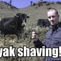 yak-shaving.jpg